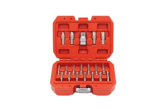 Imagem de KIT EXTRATOR PERFIS DANIFICADOS TORX/HEX 19PCS