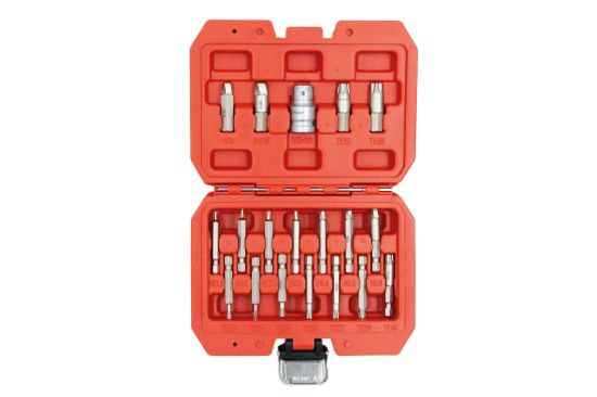 Imagem de KIT EXTRATOR PERFIS DANIFICADOS TORX/HEX 19PCS