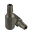 Picture of PONTA TORX INV 10MM   T40