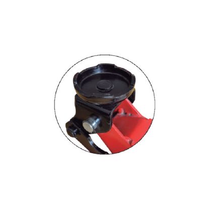 Imagem de Apoio para macaco 50818