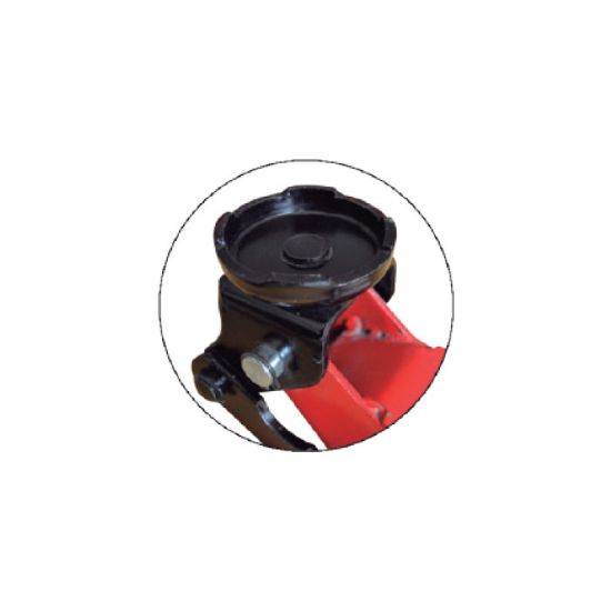 Imagem de Apoio para macaco 50818