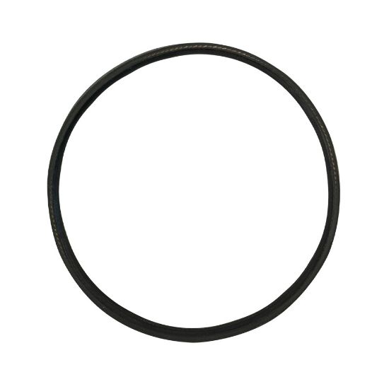 Imagem de CINTO PARA REF. 60020