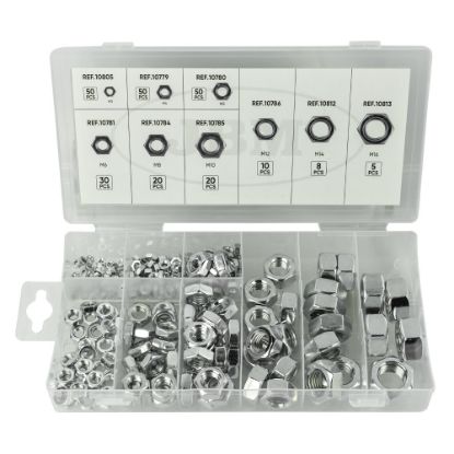 Imagem de CAIXA DE PORCAS 243 PEAcAS