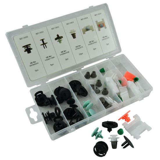 Imagem de SORTIMENTO DE CLIPS PARA AUDI 31 PCS