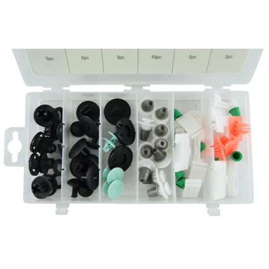 Imagem de SORTIMENTO DE CLIPS PARA AUDI 31 PCS