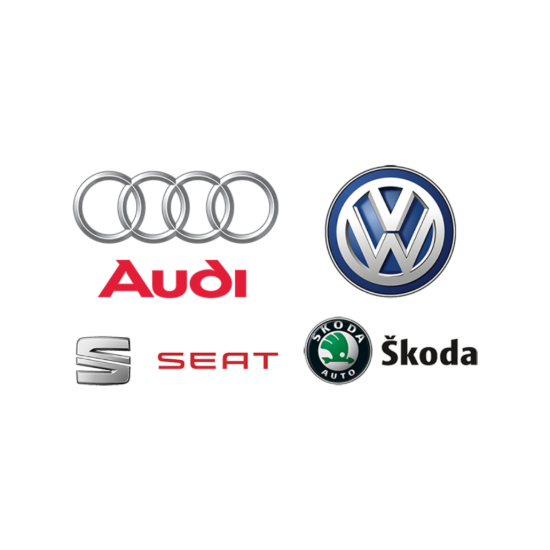 Imagem para a categoria Grupo VAG