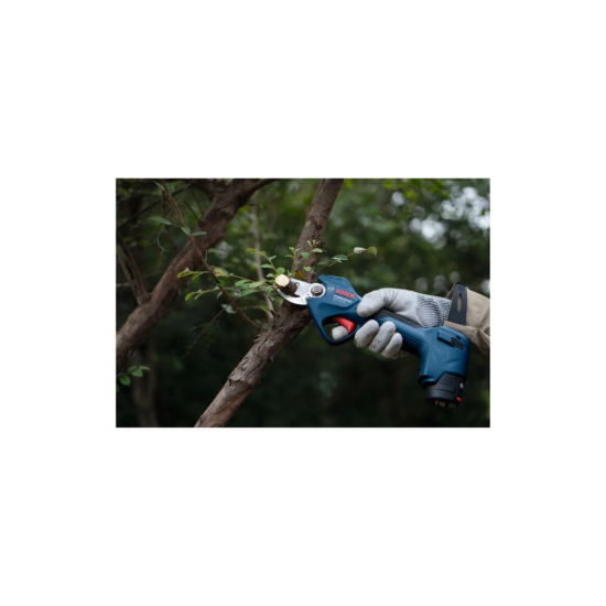 Imagem de GGP 12V-25 Tesoura de Jardim + caixa de cartão